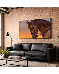 CABALLO CASTAÑO