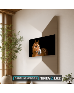 CABALLO NEGRO II