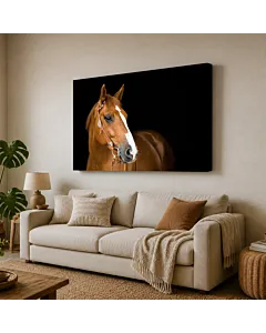 CABALLO NEGRO II