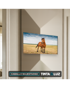 CABALLO MAJESTUOSO