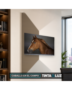 CABALLO EN EL CAMPO