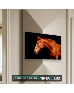 CABALLO OSCURO