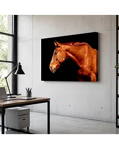 CABALLO OSCURO