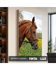 RETRATO EQUINO