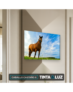 CABALLO CASTAÑO II