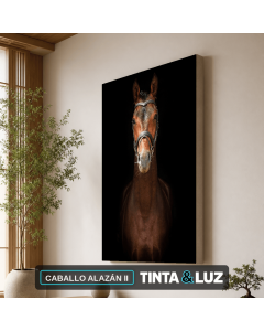 CABALLO ALAZÁN II