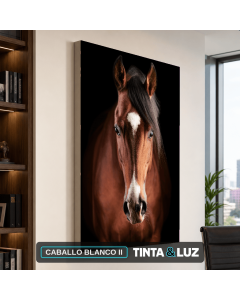 CABALLO BLANCO II