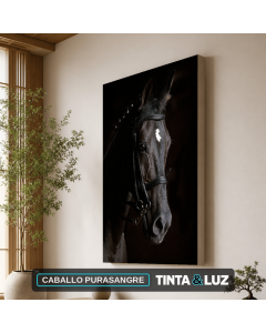 CABALLO PURASANGRE