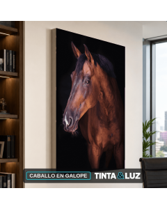 CABALLO EN GALOPE