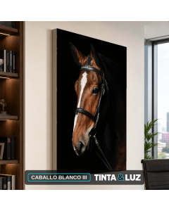 CABALLO BLANCO III