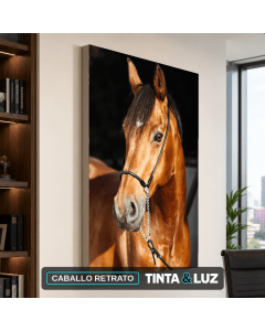 CABALLO RETRATO