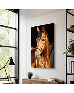 CABALLO RETRATO