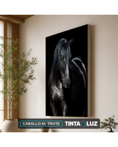 CABALLO AL TROTE