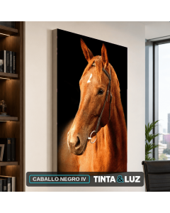 CABALLO NEGRO IV