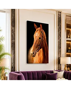 CABALLO NEGRO IV