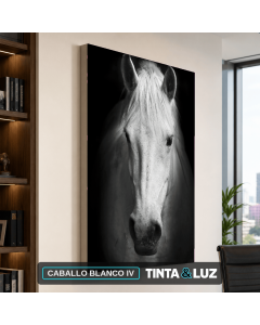 CABALLO BLANCO IV