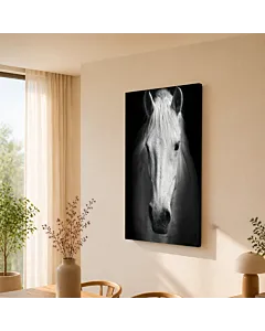 CABALLO BLANCO IV