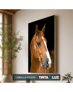CABALLO ROJIZO