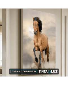 CABALLO CORRIENDO