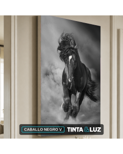 CABALLO NEGRO V