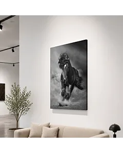 CABALLO NEGRO V
