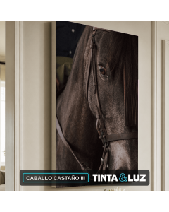 CABALLO CASTAÑO III