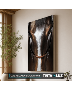 CABALLO EN EL CAMPO II