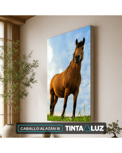 CABALLO ALAZÁN III