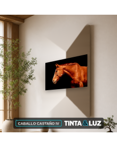 CABALLO CASTAÑO IV