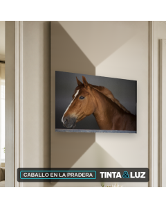 CABALLO EN LA PRADERA