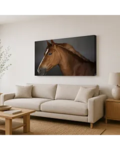 CABALLO EN LA PRADERA