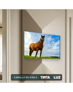 CABALLO EN VUELO