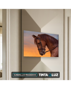 CABALLO ROJIZO II