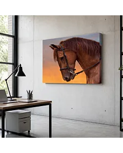 CABALLO ROJIZO II