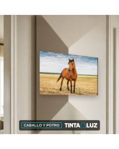 CABALLO Y POTRO