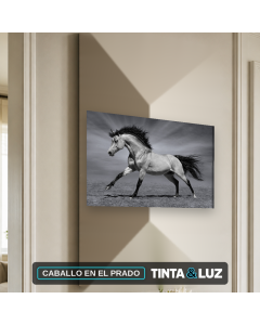 CABALLO EN EL PRADO