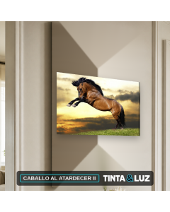 CABALLO AL ATARDECER II