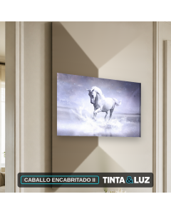 CABALLO ENCABRITADO II