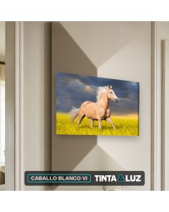 CABALLO BLANCO VI
