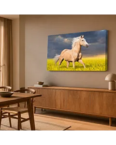 CABALLO BLANCO VI