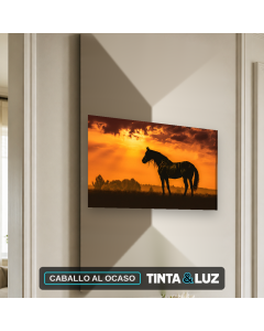 CABALLO AL OCASO