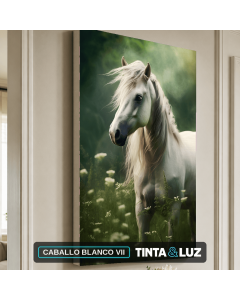 CABALLO BLANCO VII