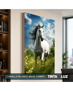 CABALLO BLANCO EN EL CAMPO