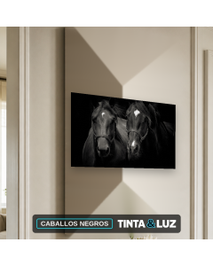 CABALLOS NEGROS