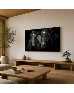 CABALLOS NEGROS