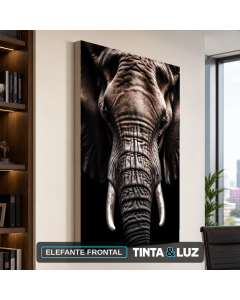 ELEFANTE FRONTAL
