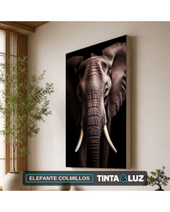 ELEFANTE COLMILLOS