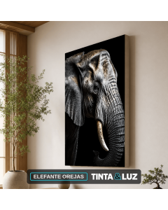 ELEFANTE OREJAS