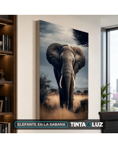 ELEFANTE EN LA SABANA