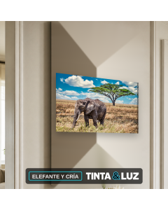 ELEFANTE Y CRÍA